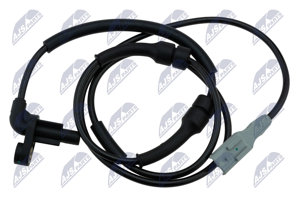 HCA-CT-029