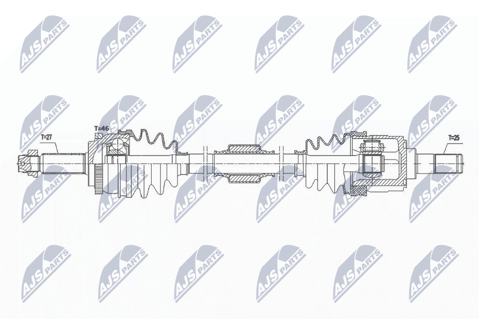 NPW-HY-579