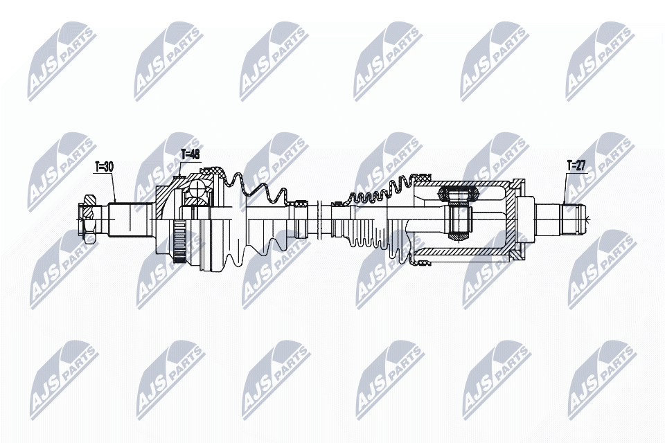 NPW-BM-193