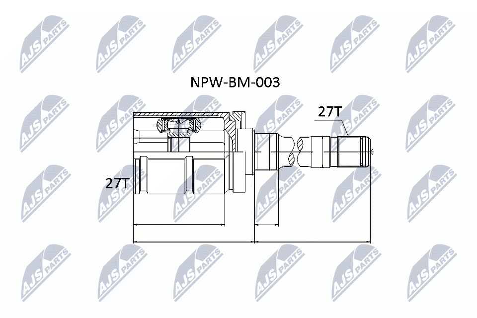 NPW-BM-003