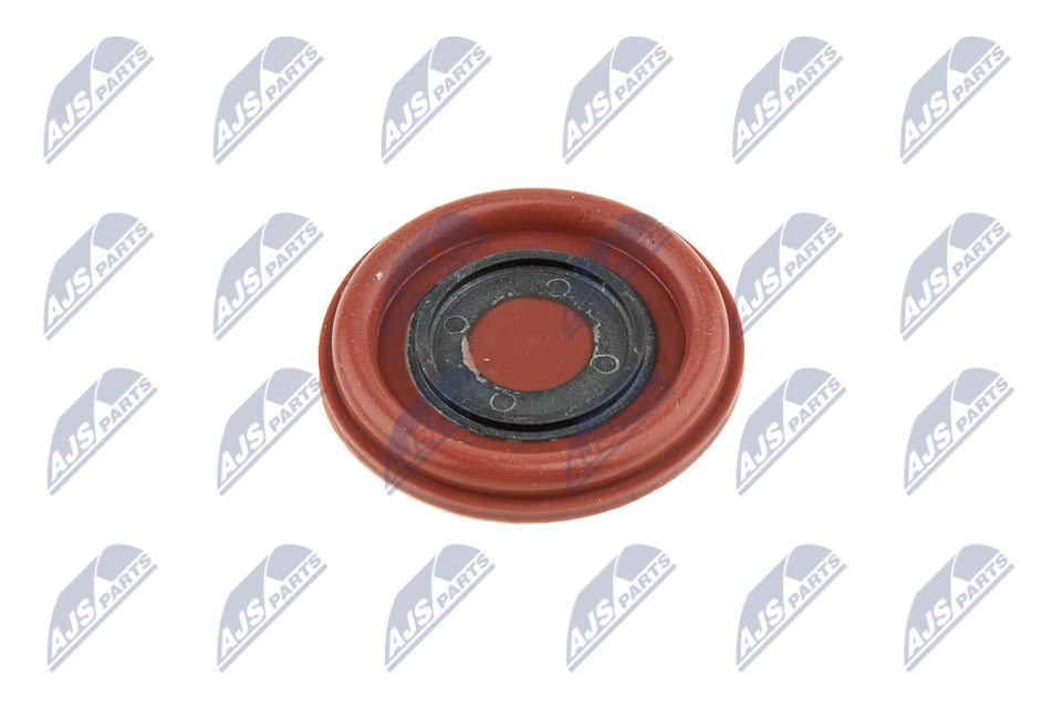 BPZ-VV-002