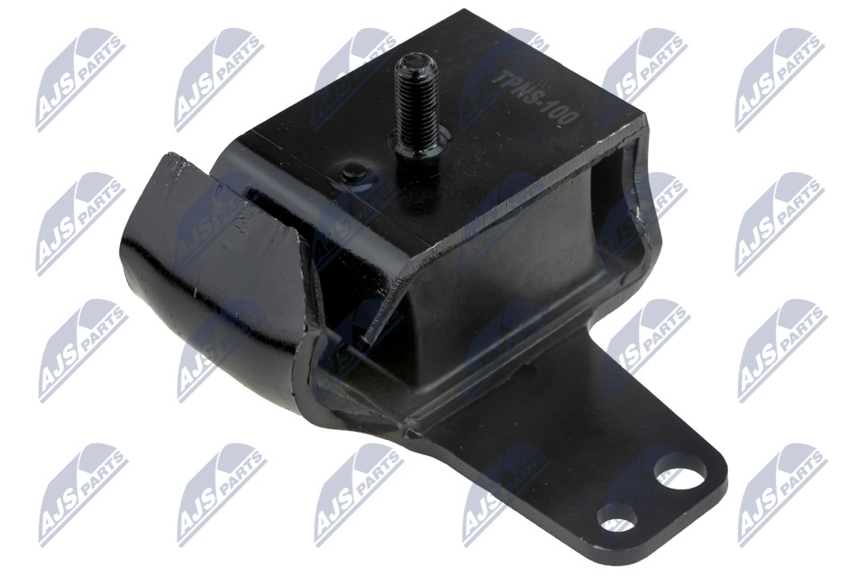 ZPS-NS-100