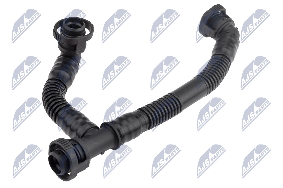 GPP-BM-019