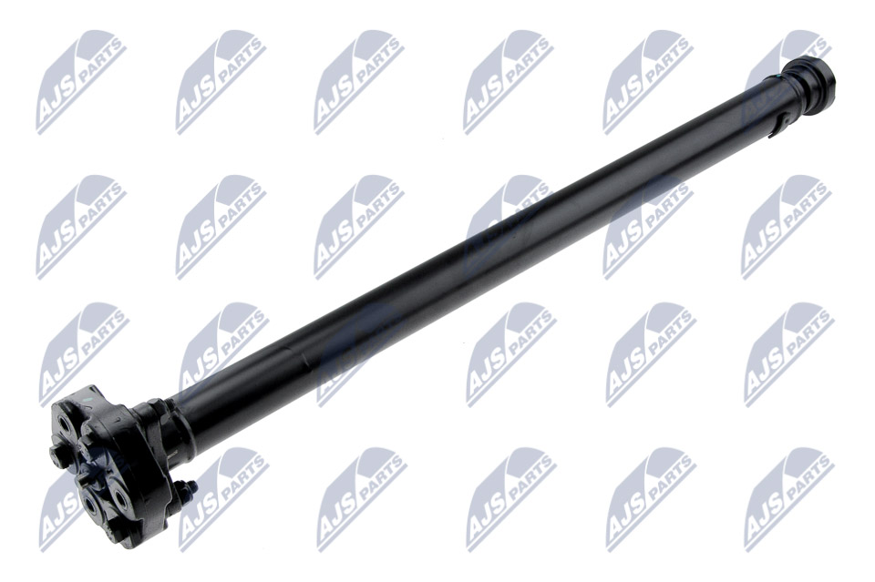NWN-BM-008