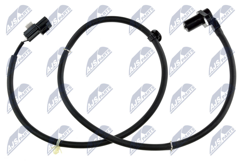 HCA-MS-015