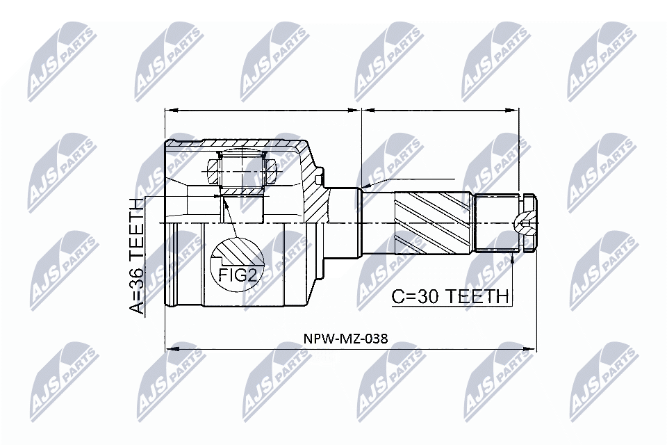 NPW-MZ-038