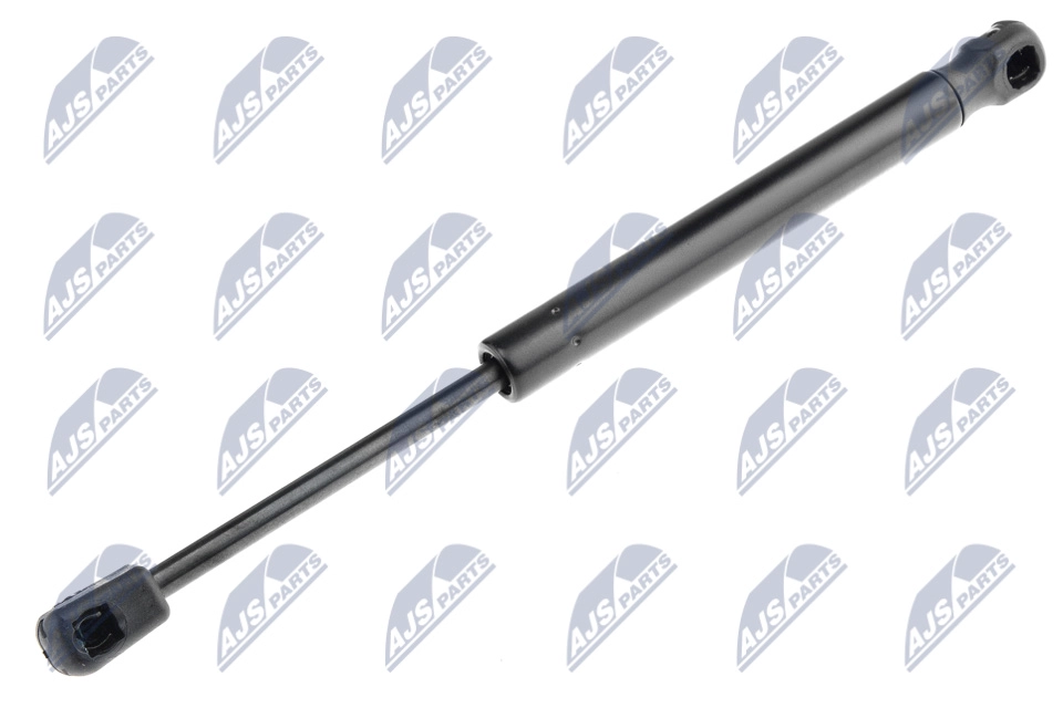 AE-NS-016