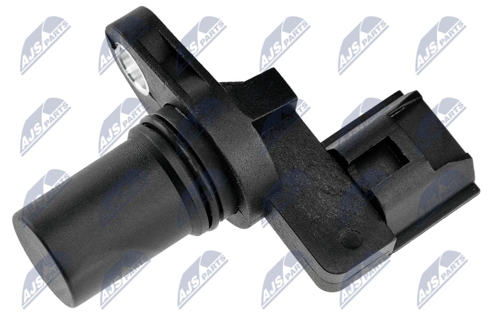 ECP-MS-005