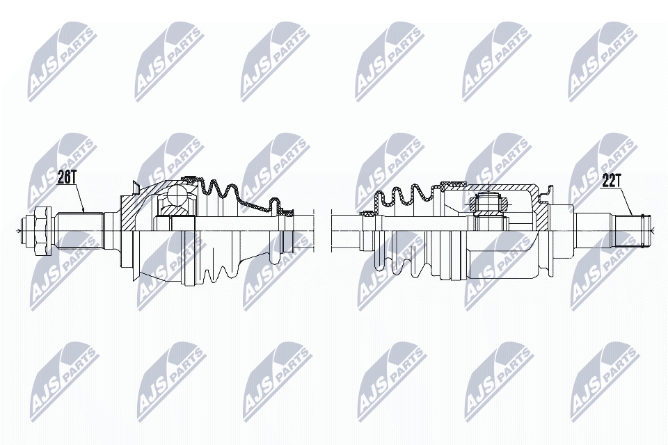 NPW-BM-119