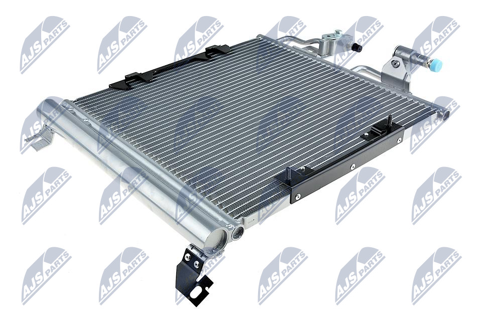 CCS-PL-020