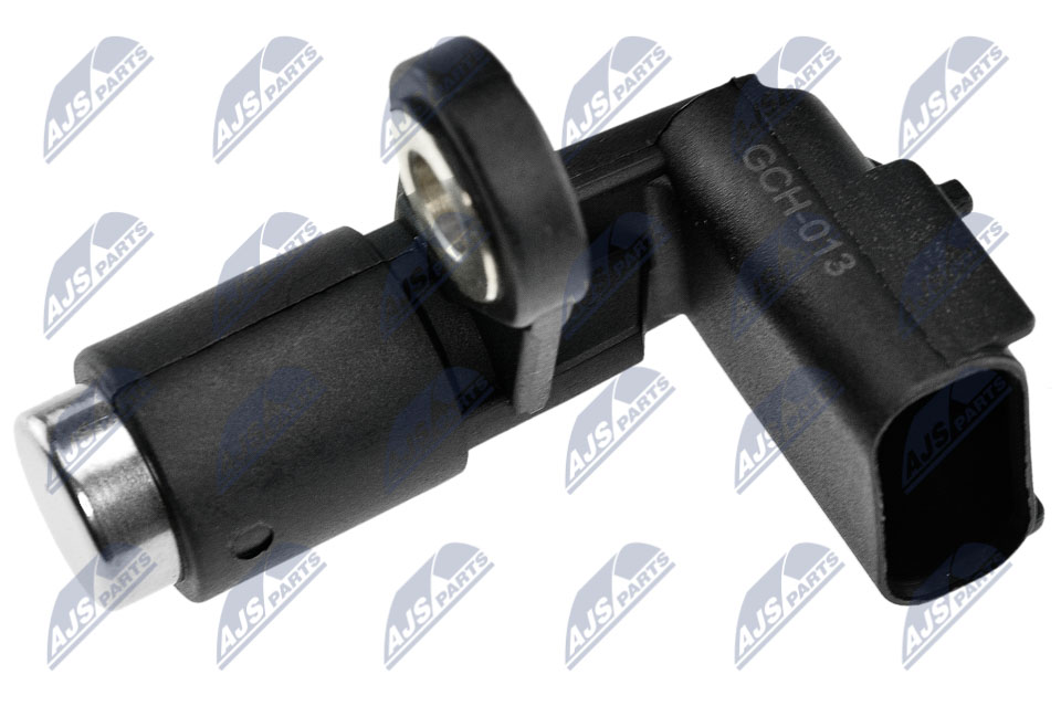 ECP-CH-013
