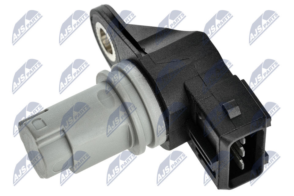 ECP-MS-009