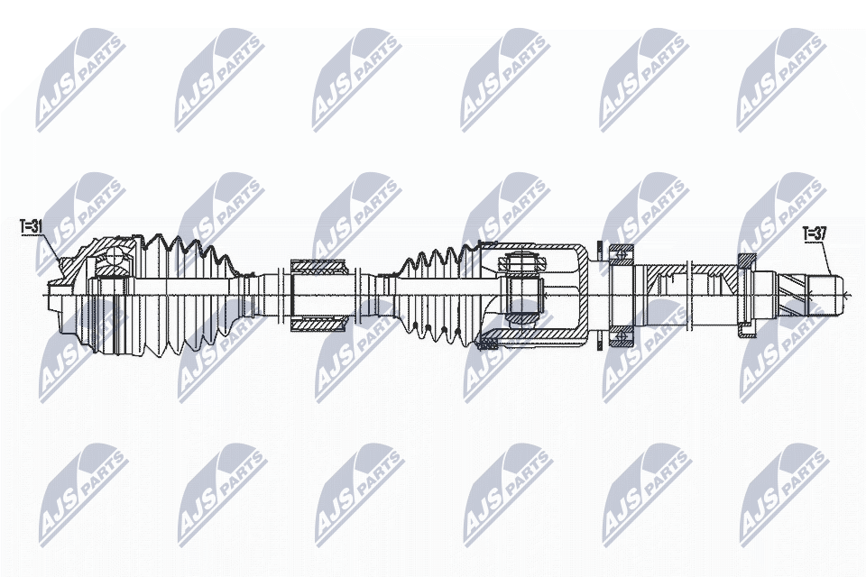 NPW-BM-171