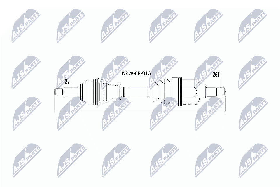 NPW-FR-013