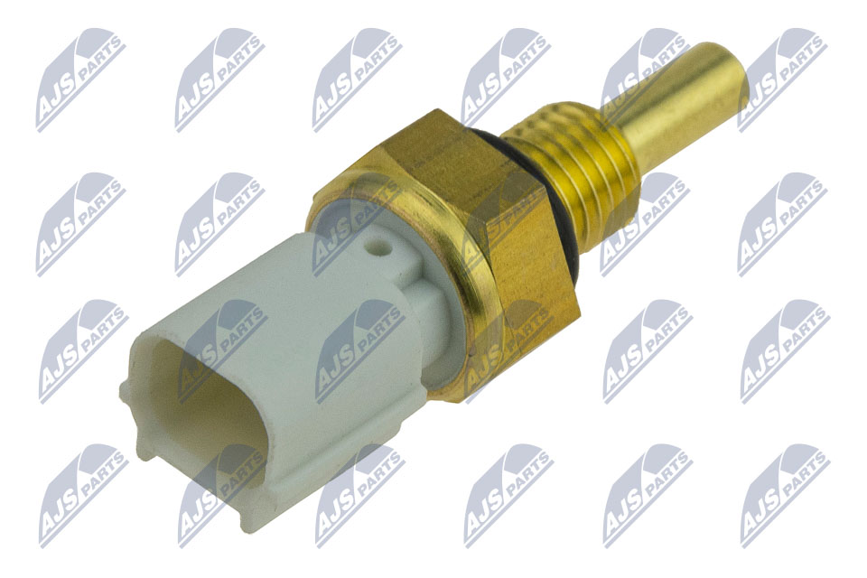 ECT-HD-004
