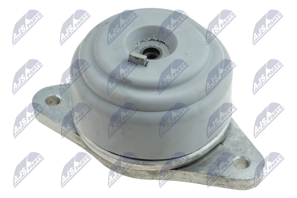 ZPS-MS-011