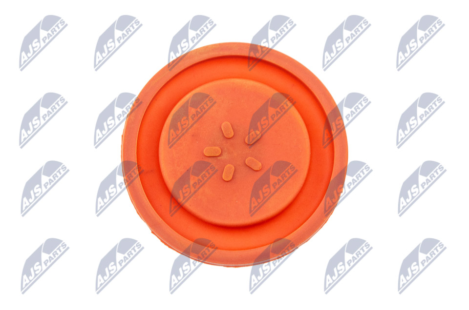 BPZ-PL-006