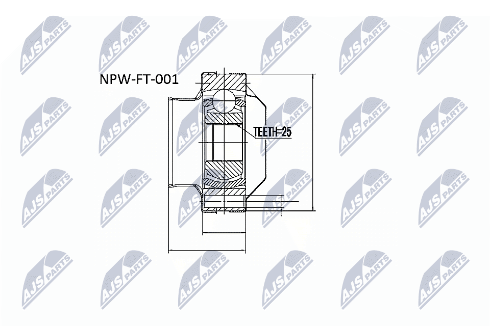 NPW-FT-001