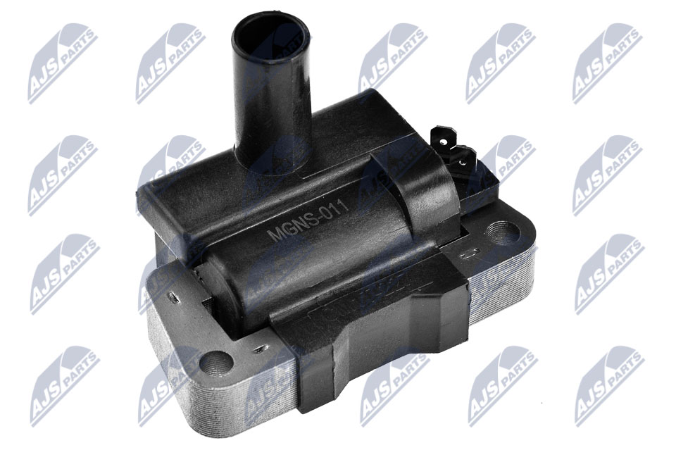 ECZ-NS-011