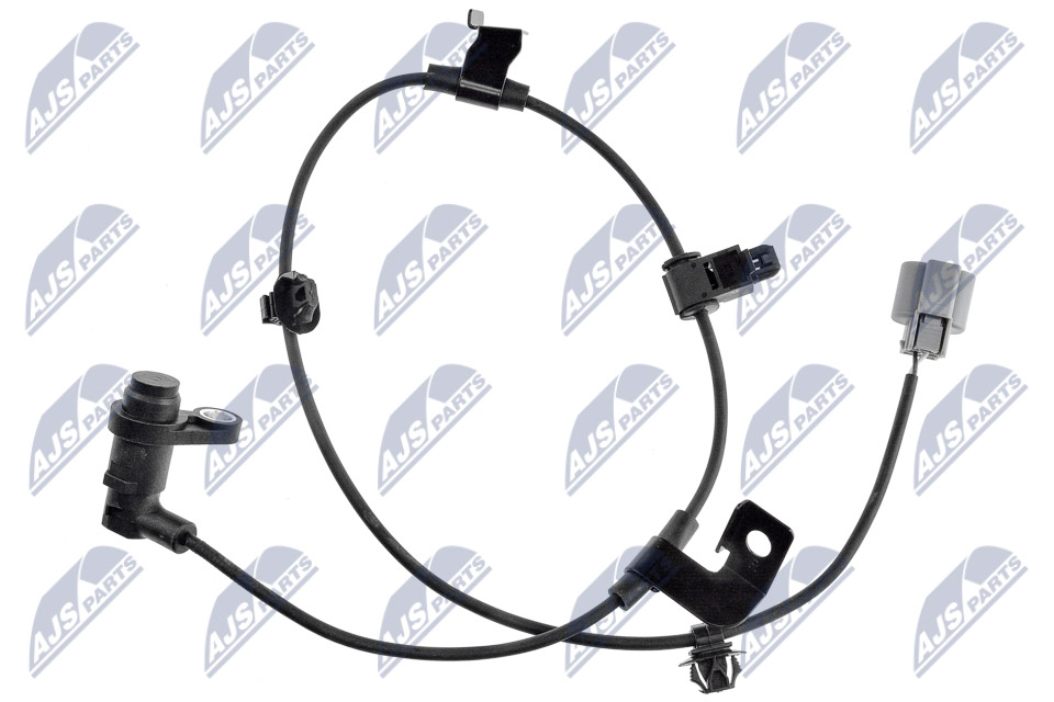 HCA-MS-084
