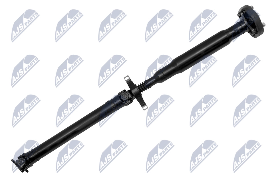 NWN-BM-013