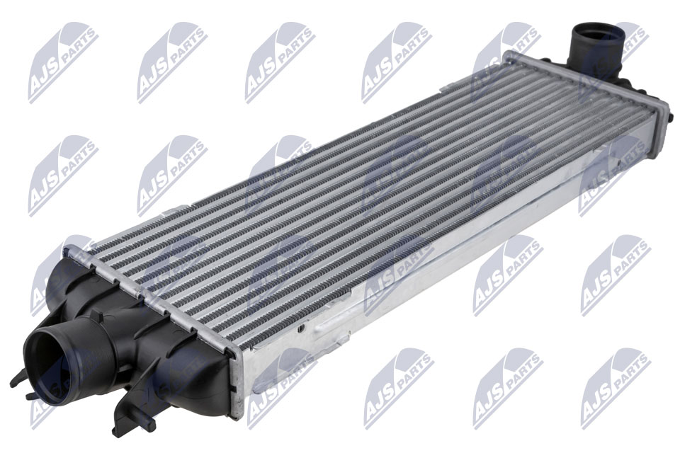CNG-NS-003