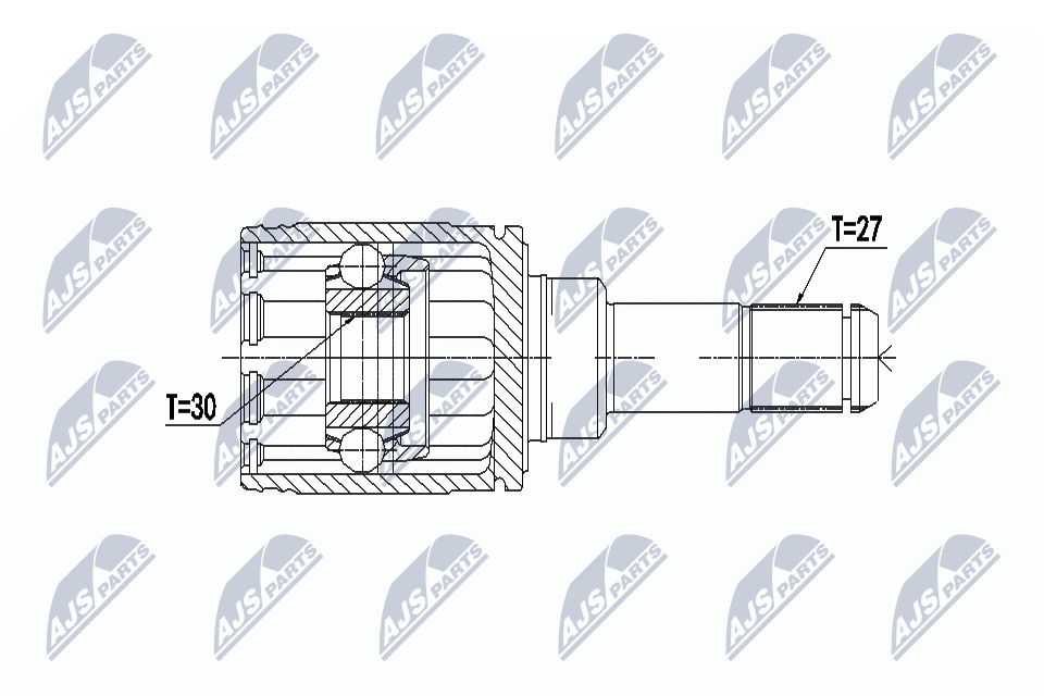 NPW-BM-066