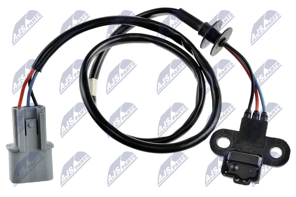 ECP-MS-010