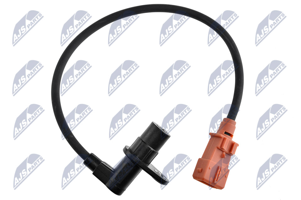 ECP-CT-003