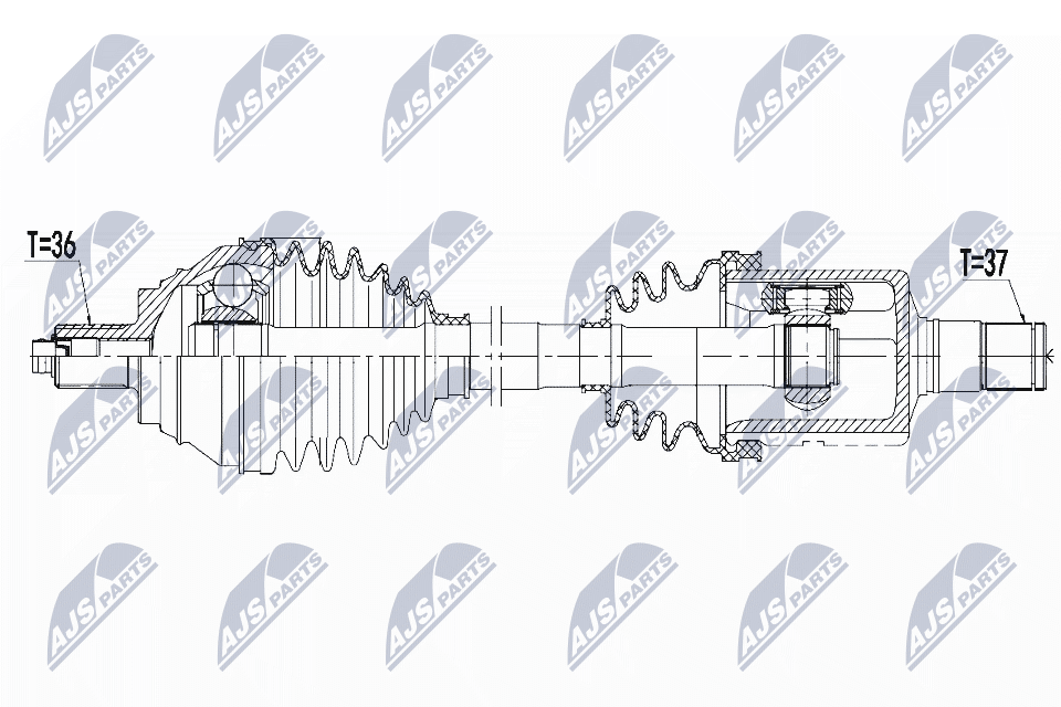 NPW-VW-081