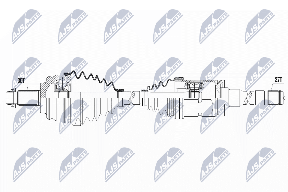 NPW-BM-117