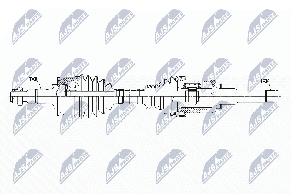 NPW-PL-101