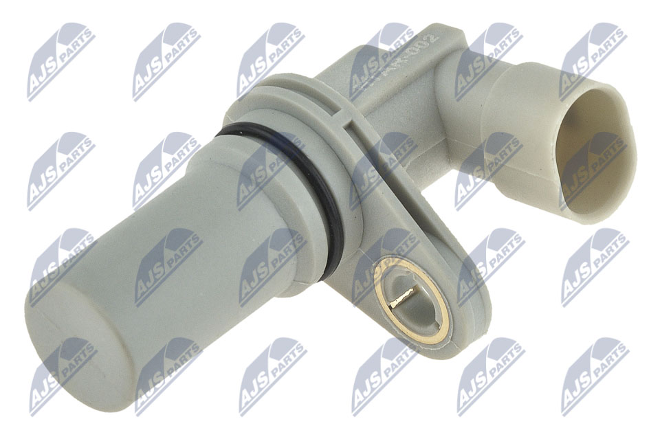 ECP-AR-002