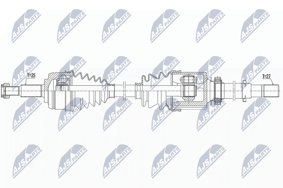 NPW-RE-163