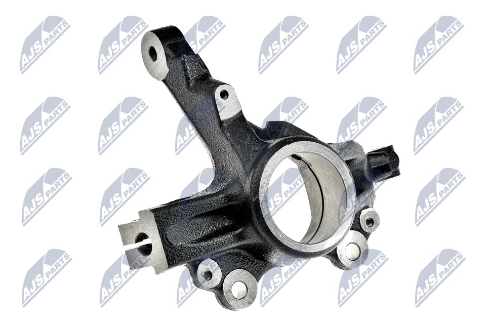 ZZP-PL-011