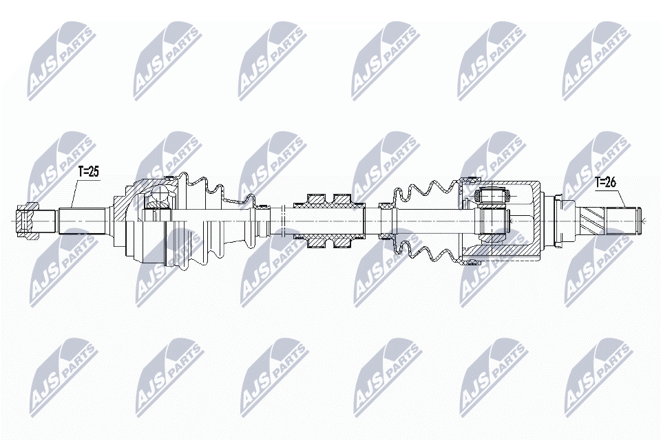 NPW-NS-100