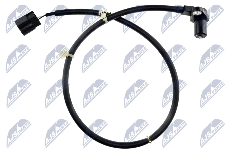 HCA-MS-018