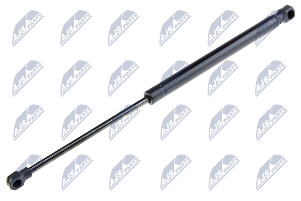 AE-BM-013