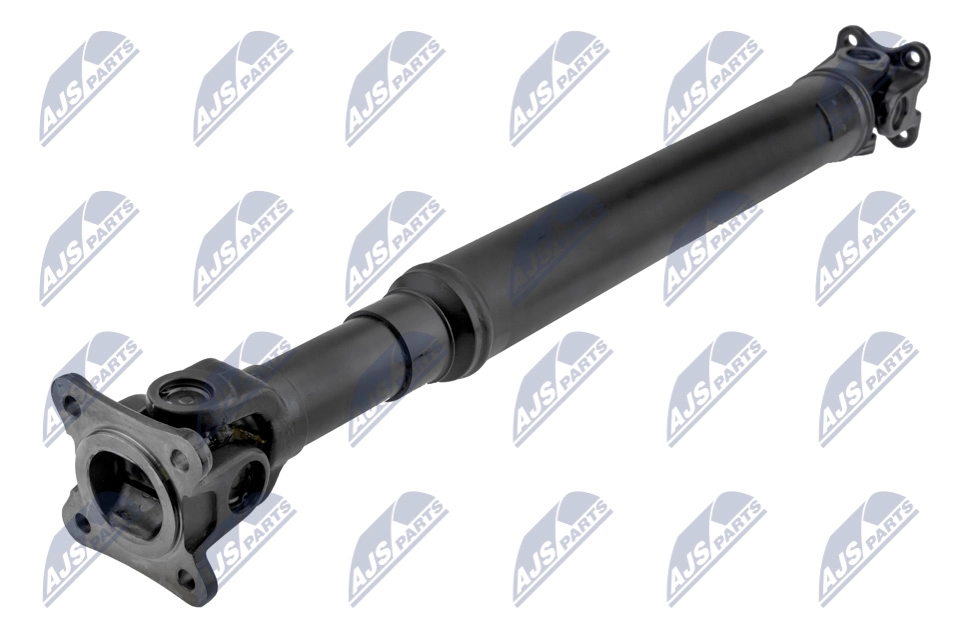 NWN-MS-013