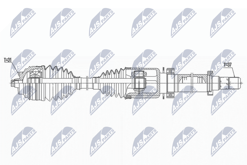 NPW-BM-172