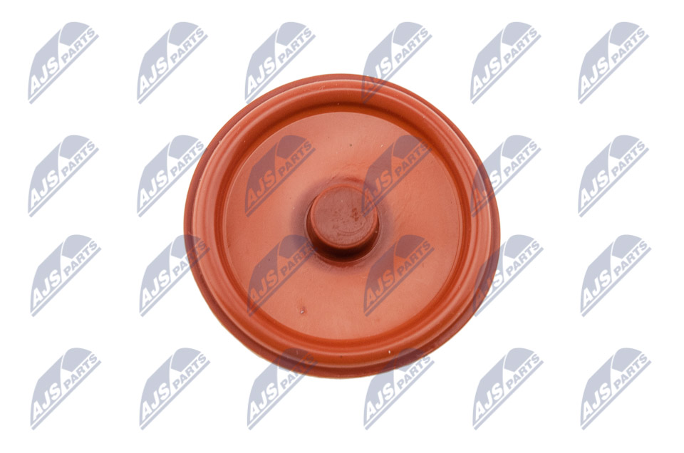 BPZ-PL-005