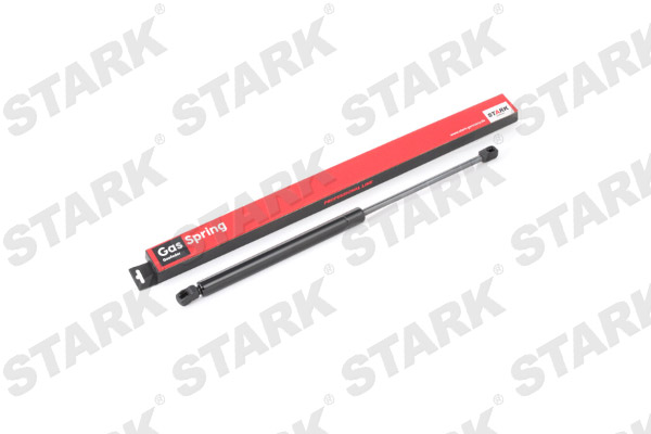 SKGS-0220491
