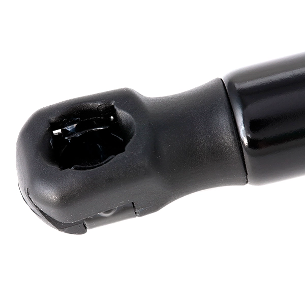 SKGS-0220263