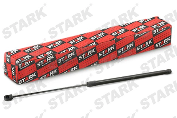 SKGS-0220873