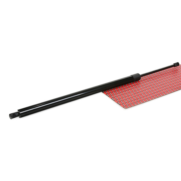 SKGS-0220878