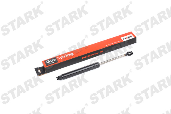 SKGS-0220524