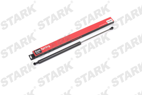 SKGS-0220421