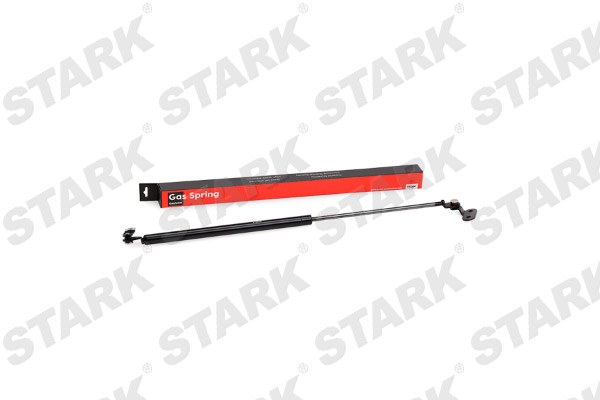SKGS-0220485