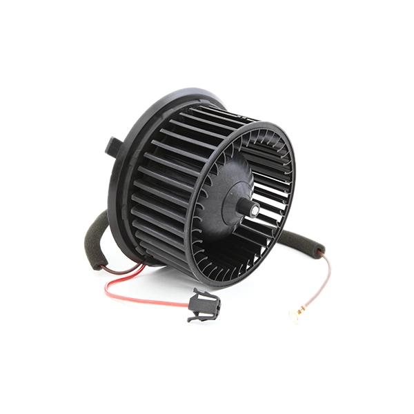 SKIB-0310008