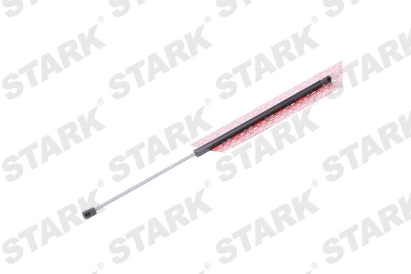 SKGS-0220862
